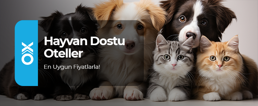 Hayvan Dostu Oteller
