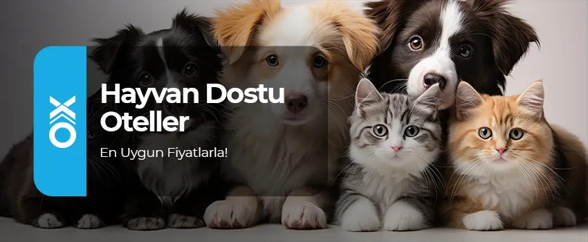 Hayvan Dostu Oteller