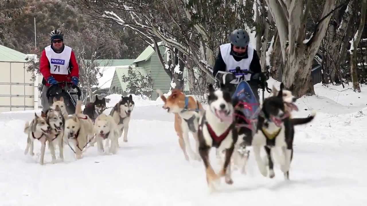 En Çılgın Kış Sporları