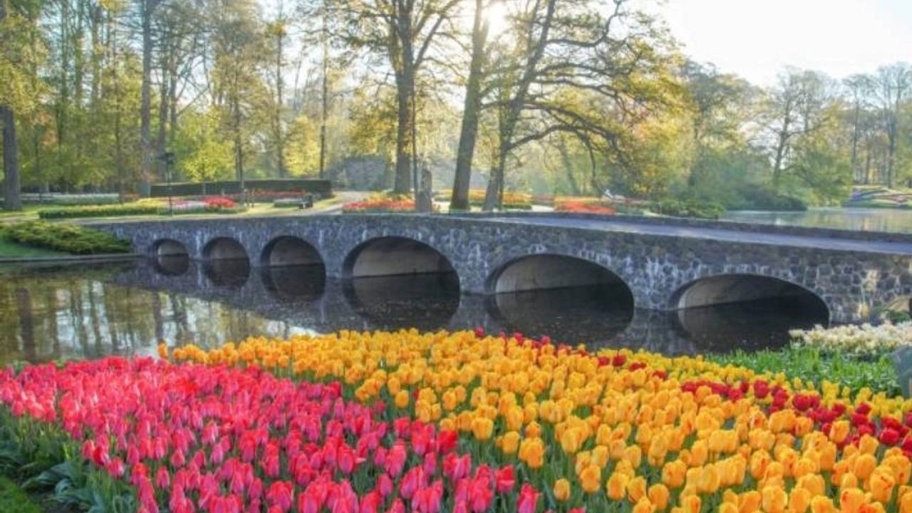 Hollanda Gezilecek Yerler