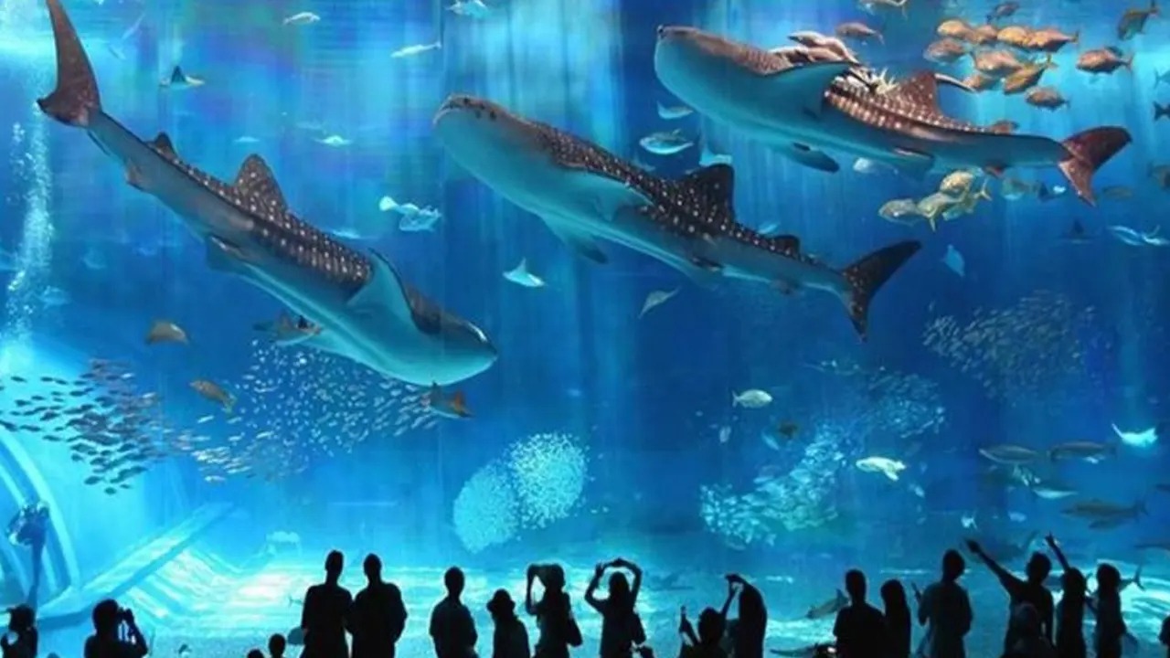 Hurghada Gezilecek Yerler