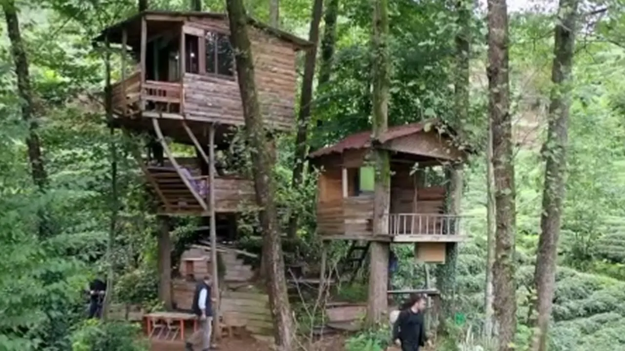 orman içinde bungalov