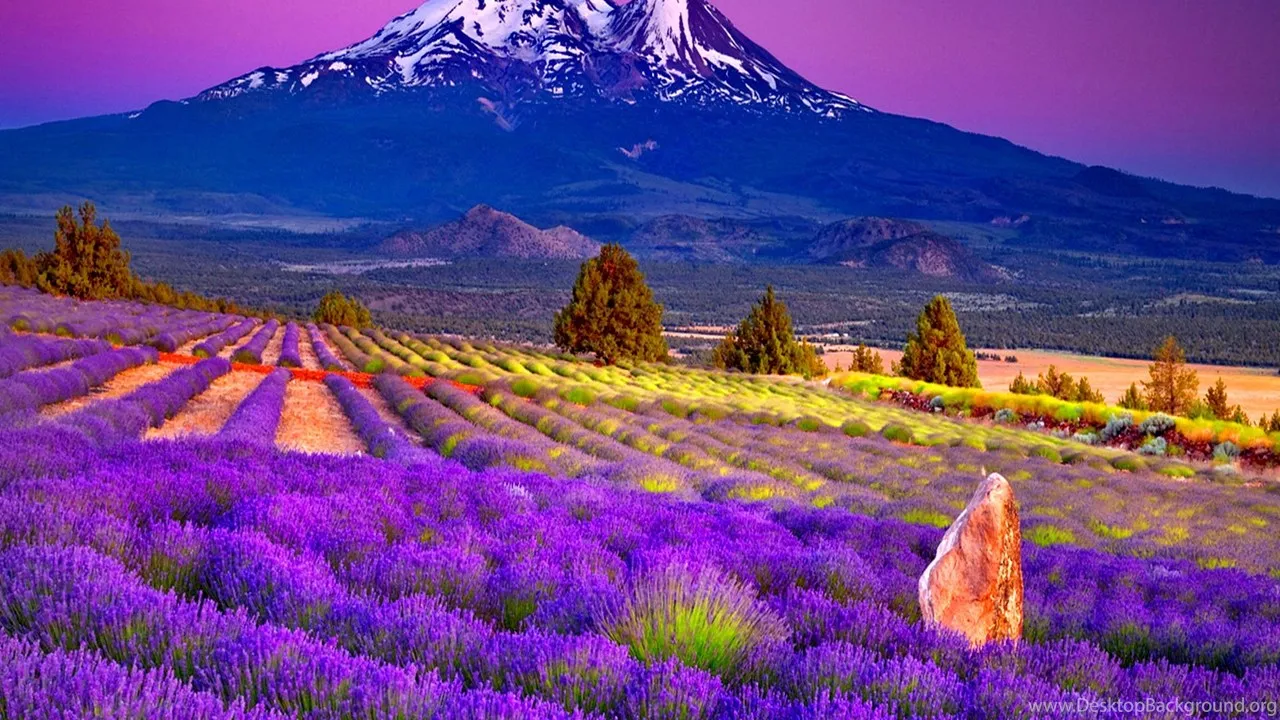 Provence