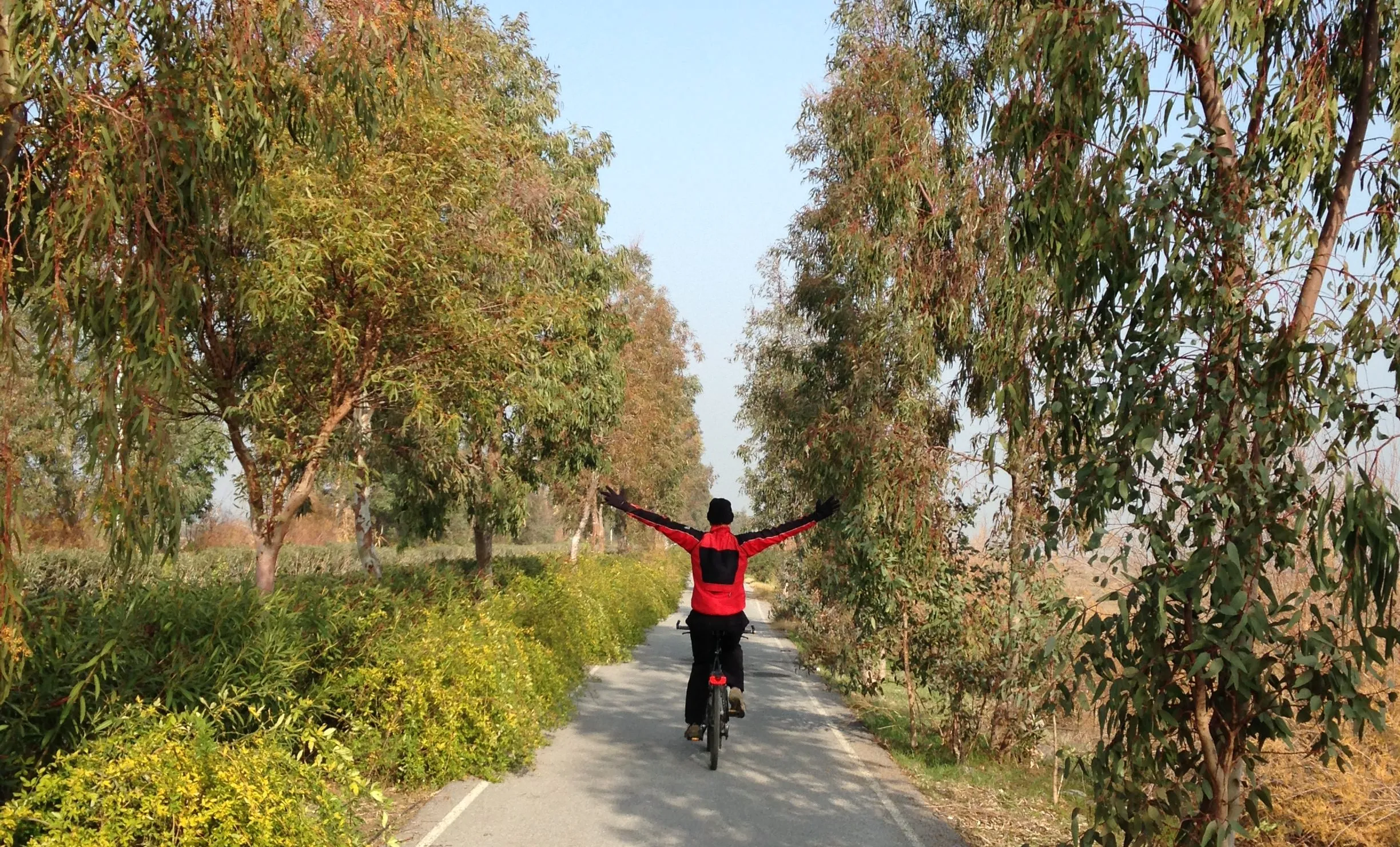 Yürüyüş ve Bisiklet Parkurları