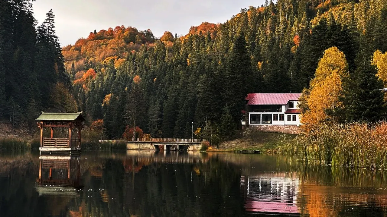 Ayancık Kent Ormanı 