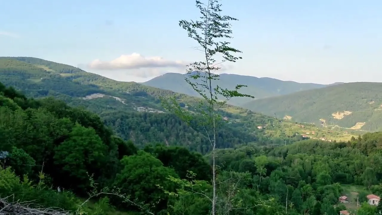 Büyükdüz Yaylası