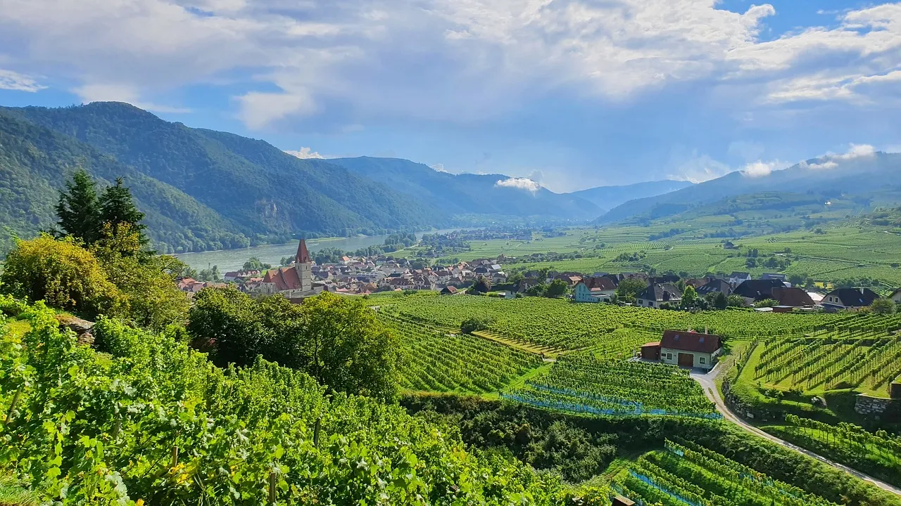 Wachau Vadisi