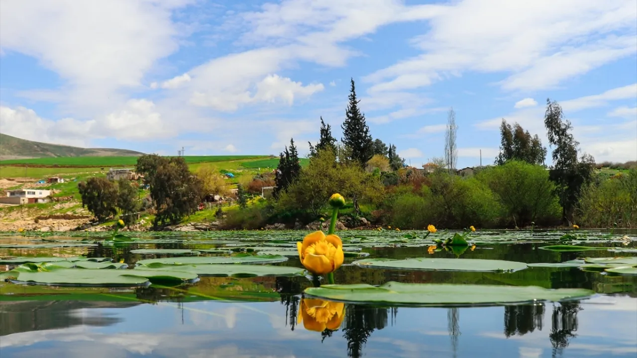  G&ouml;lbaşı Kuş Cenneti