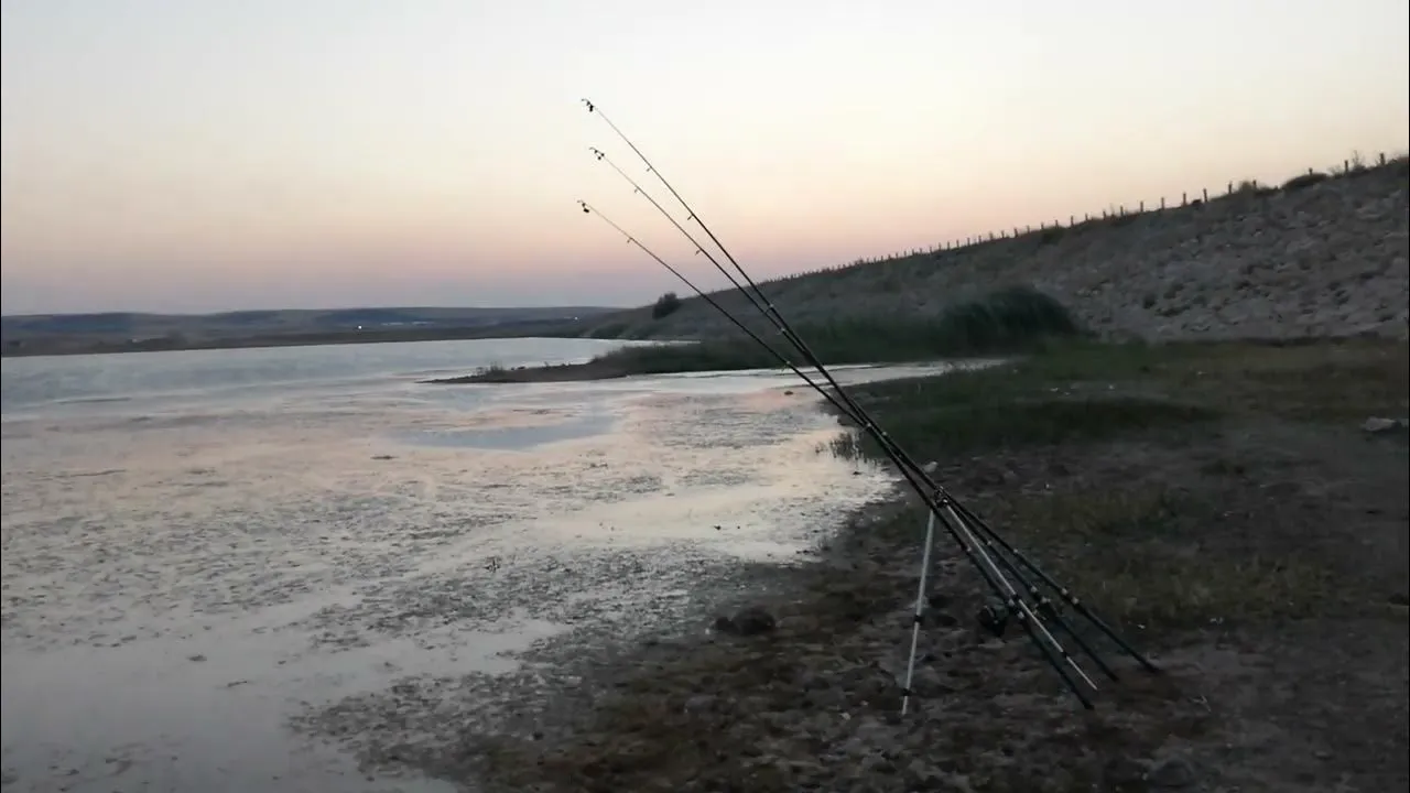 G&ouml;lbaşı Balık&ccedil;ı Barınağı