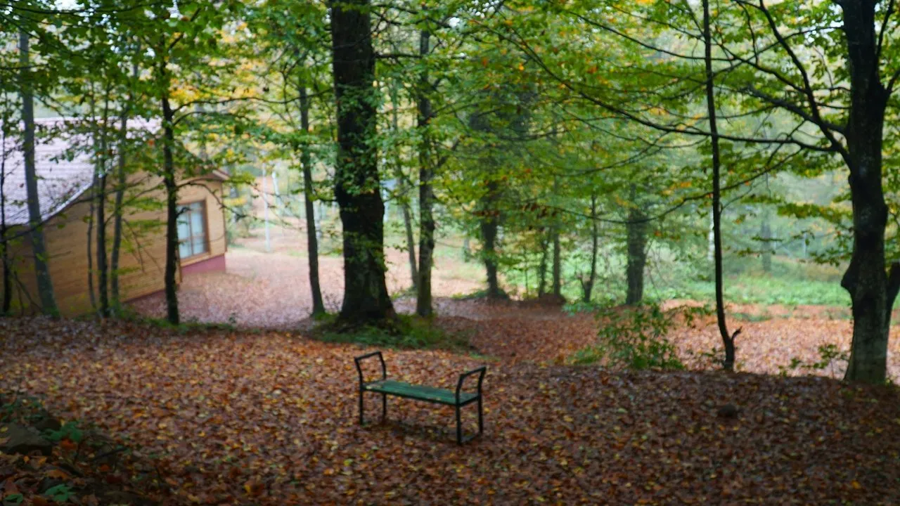 Erikli Tepe Tabiat Parkı