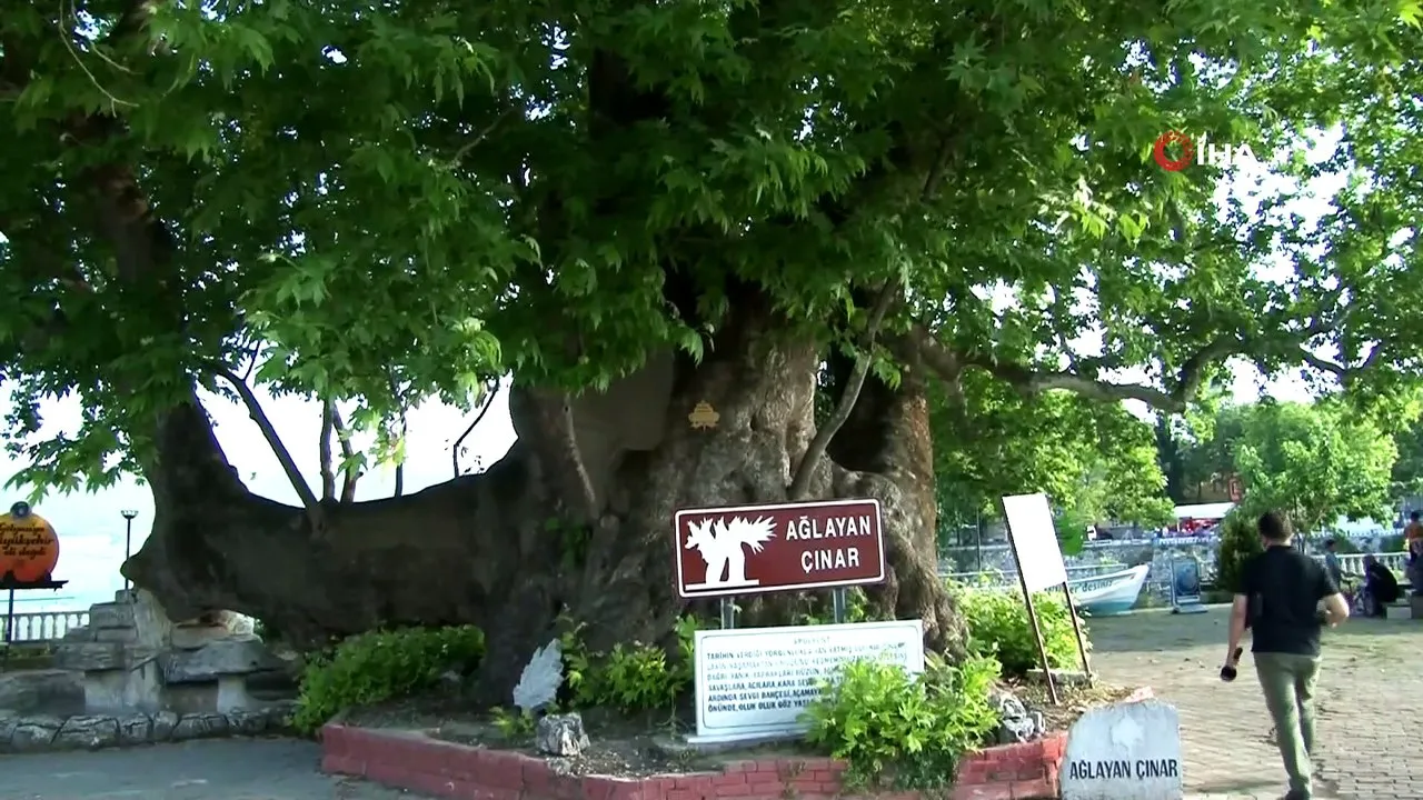 Gölyazı Gezilecek Yerler