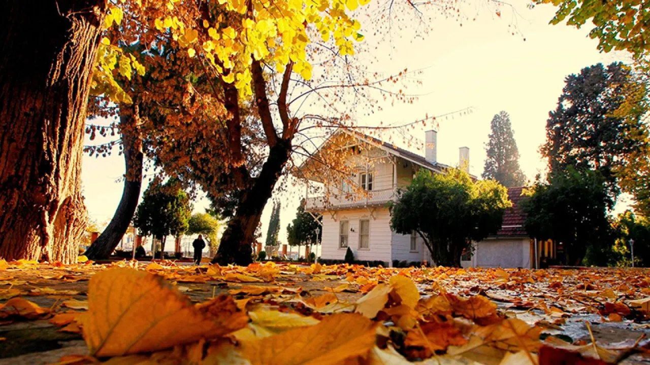 Osman Hamdi Bey Müzesi: Sanat ve Tarihin İzinde
