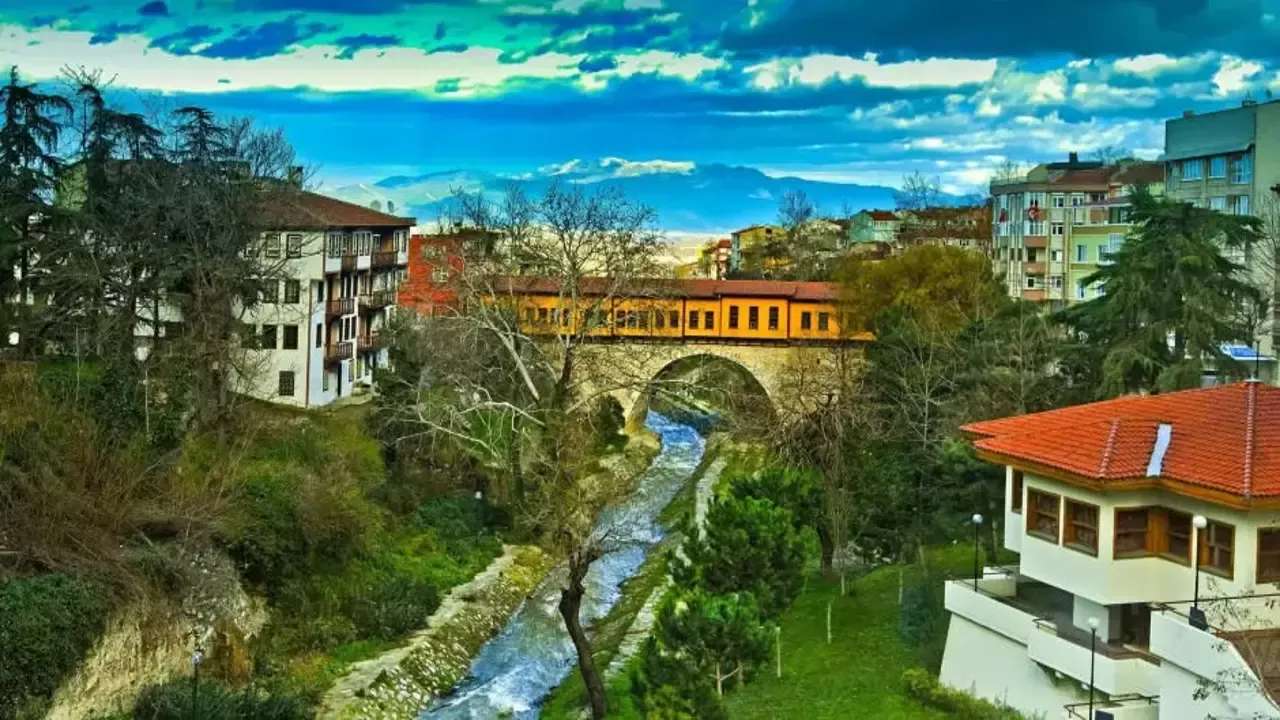 Bursa