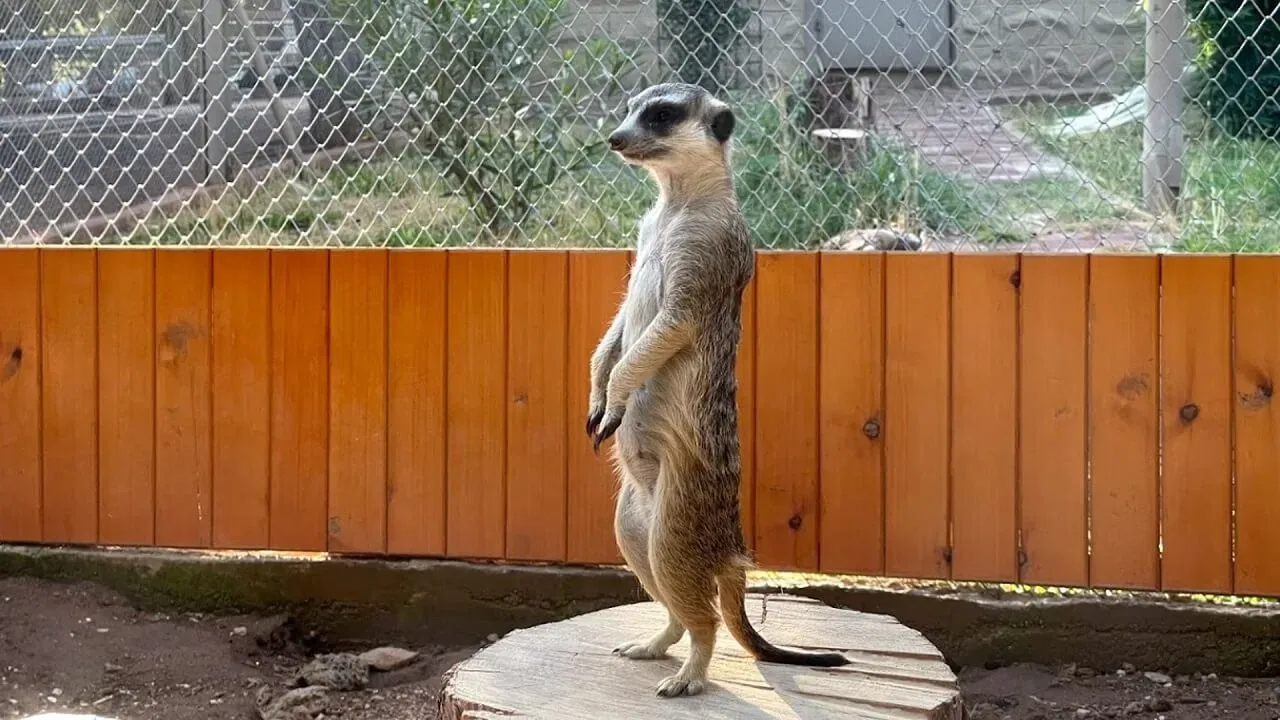 Kepez Gezilecek Yerler