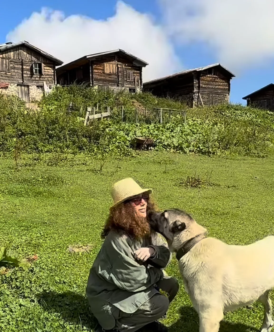 akasya asıltürkmen