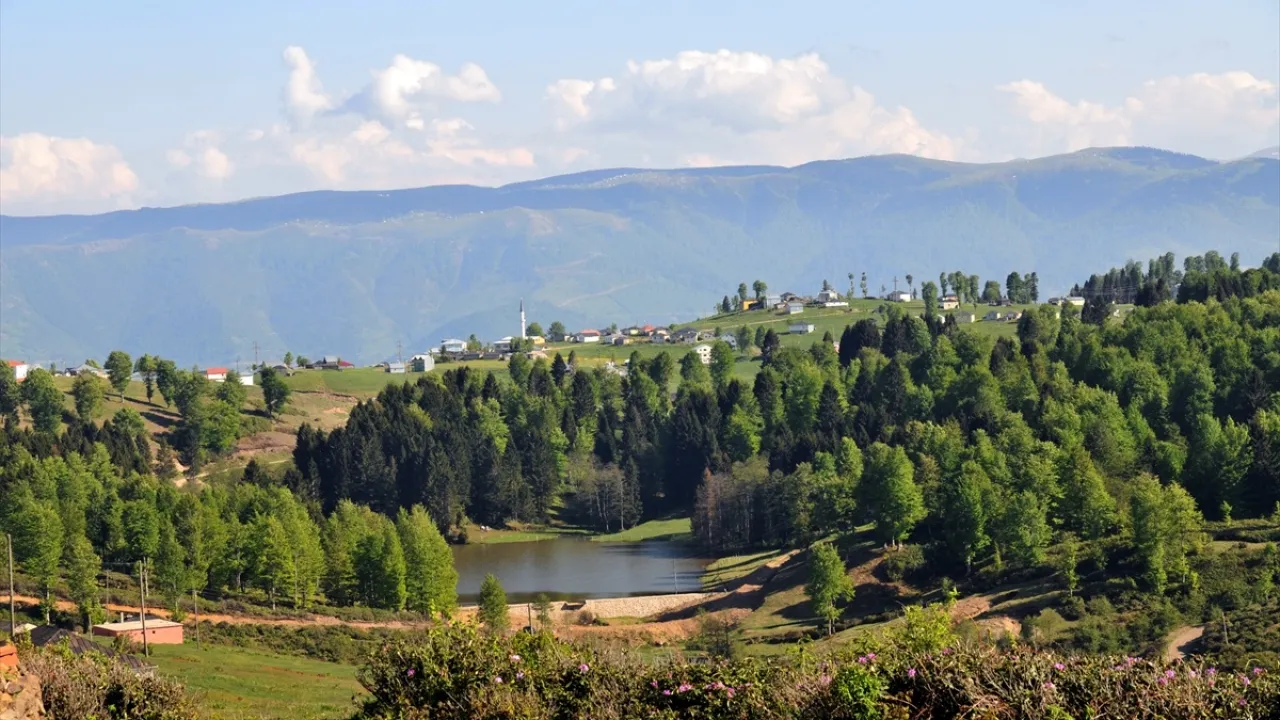 Hıdırnebi Yaylası
