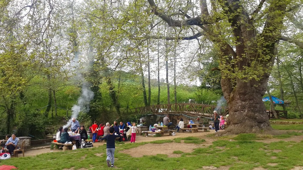 Cumayanı Mesire Alanı