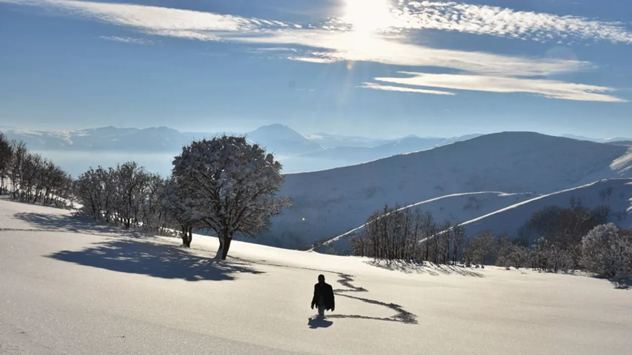 Yalnızçam Yaylası