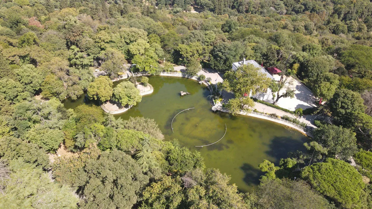 Yıldız Parkı ve Yıldız Sarayı