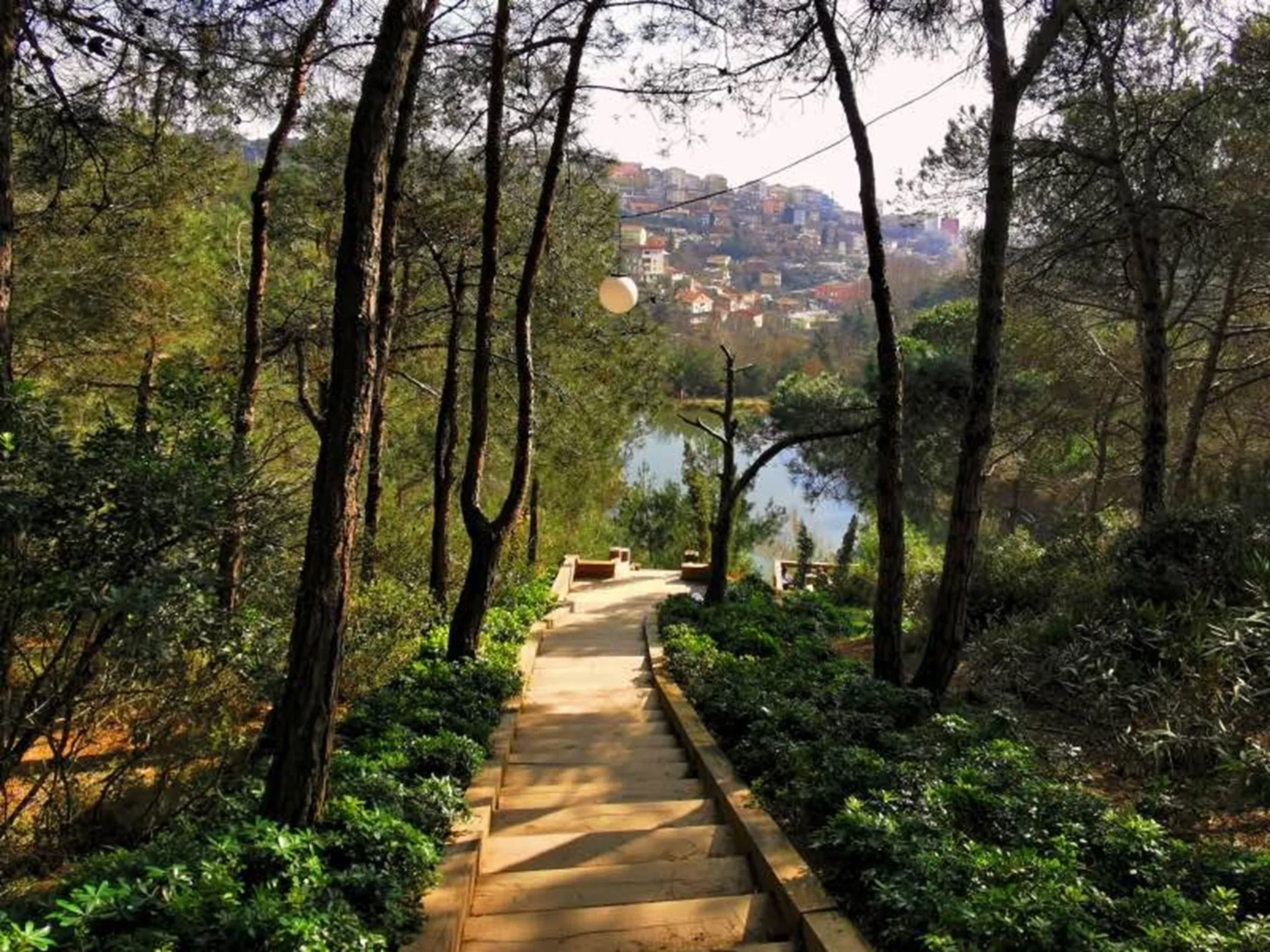 Beylikdüzü Atatürk Ormanı