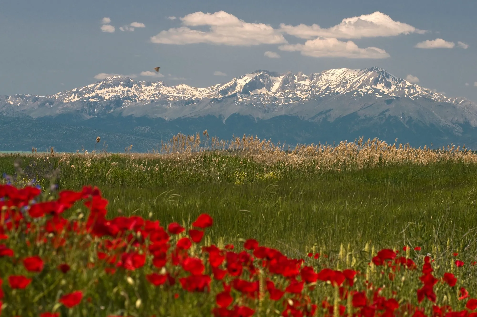 7. Anamas Dağı ve Milli Parkı
