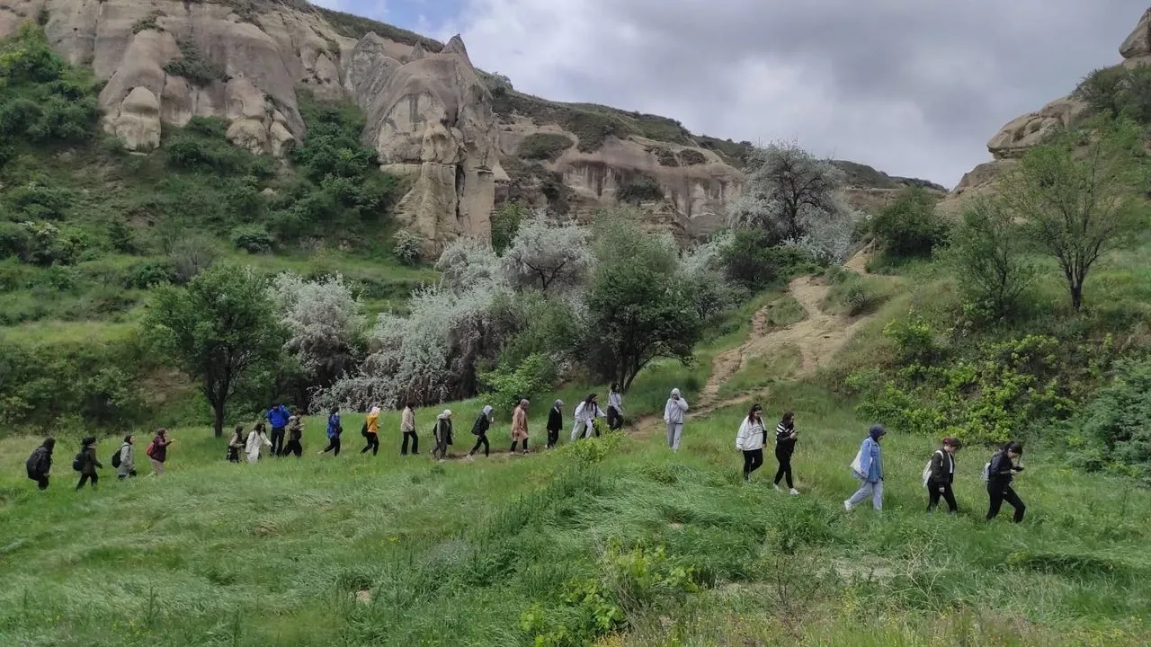 4. Doğa Yürüyüşleri: Zeytinliklerin Arasında Kaybolmak