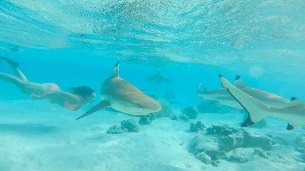 5. Motu Tapu: Cennetin Saklı Köşesi