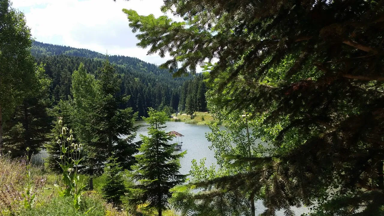 Han&ouml;n&uuml; Mesire Alanı: Doğanın Kucağında Keyif