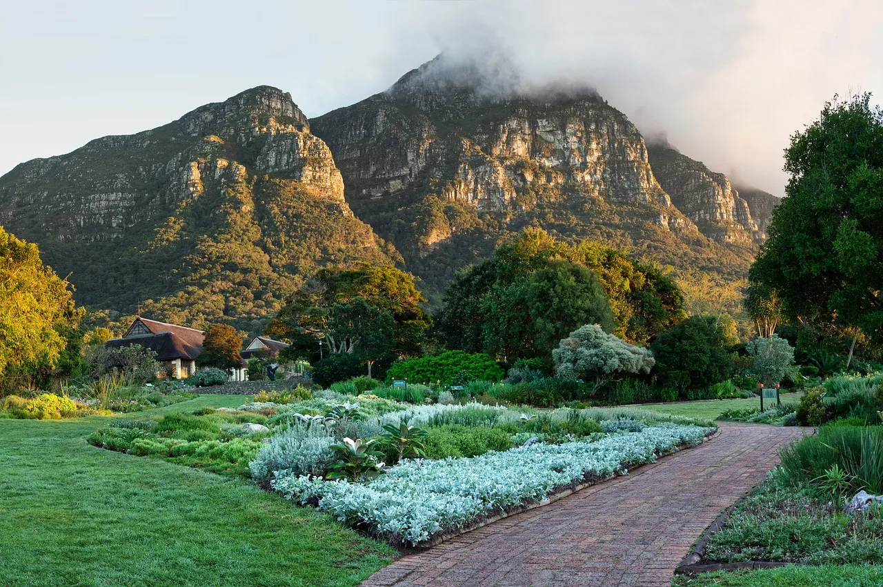 5. Kirstenbosch Bahçeleri