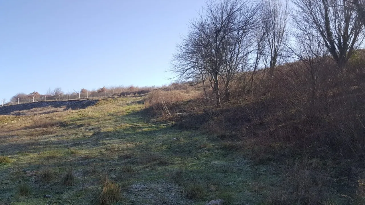 5. Subaşı Mahallesi