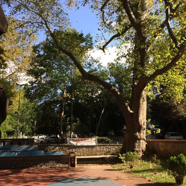 7. Çengelköy Parkı