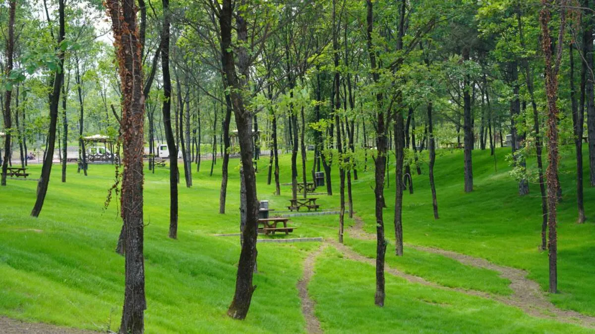 8. Kayalıbahçe ve Patika Yollar