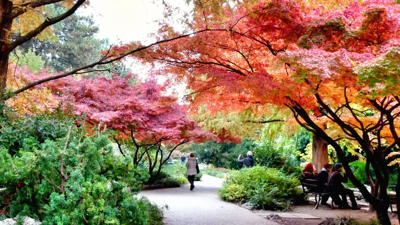 10. Margaret Adası (Margitsziget)