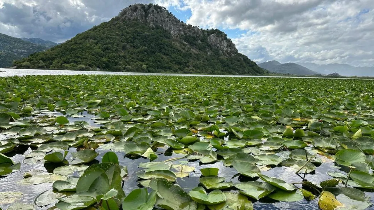 9. Skadar Gölü