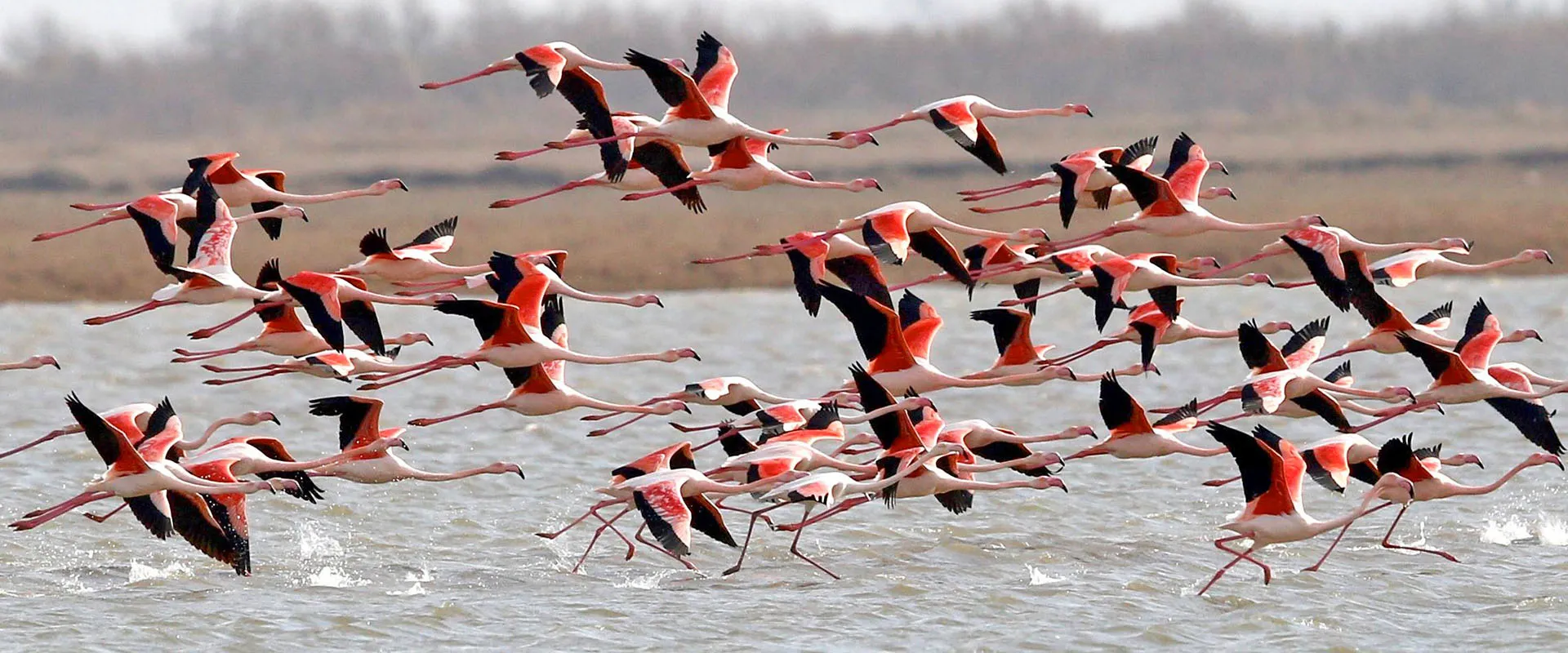 4. Evros Delta Milli Parkı