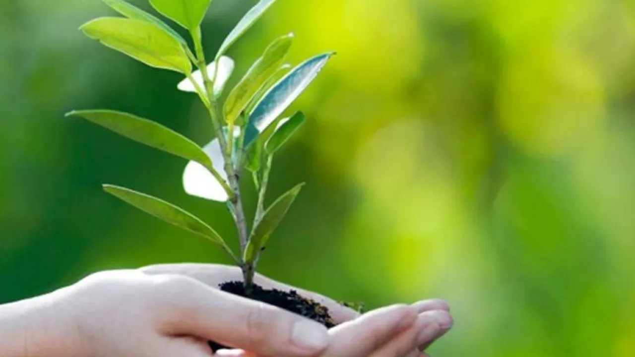 S&uuml;rd&uuml;r&uuml;lebilirlik ve &Ccedil;evre Duyarlılığı