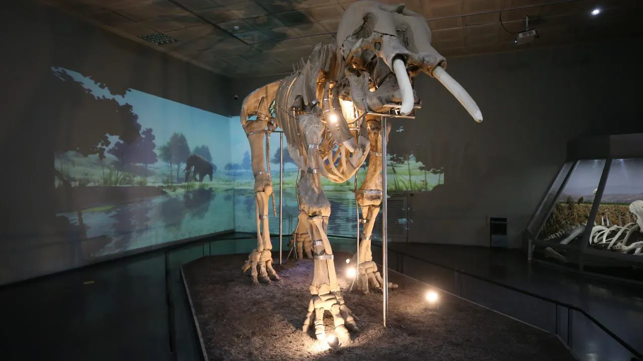 Maraş Arkeoloji Müzesi