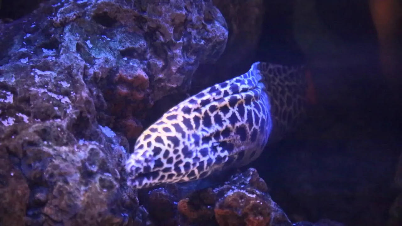 10. Bilim Merkezi (Scientific Center)