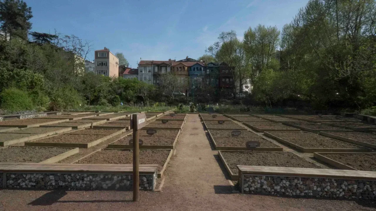 7. Kuzguncuk Bostanı