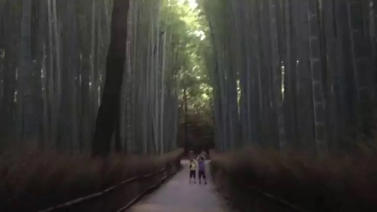 3. Arashiyama Bambu Ormanı