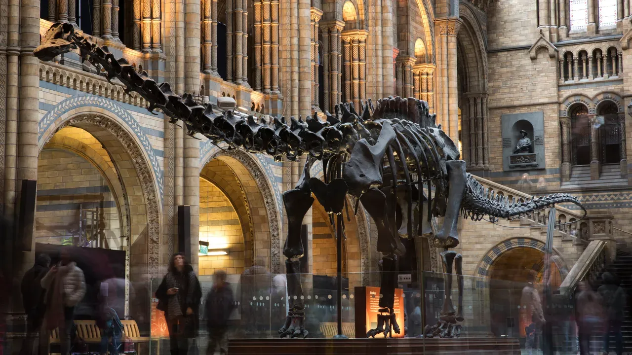 10. Natural History Museum
