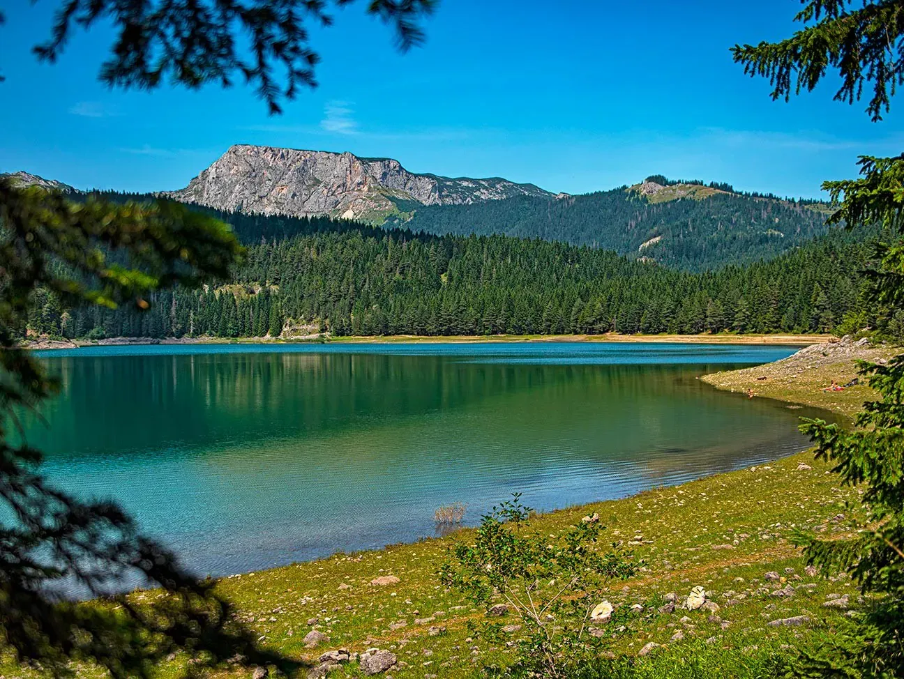 Durmitor Milli Parkı