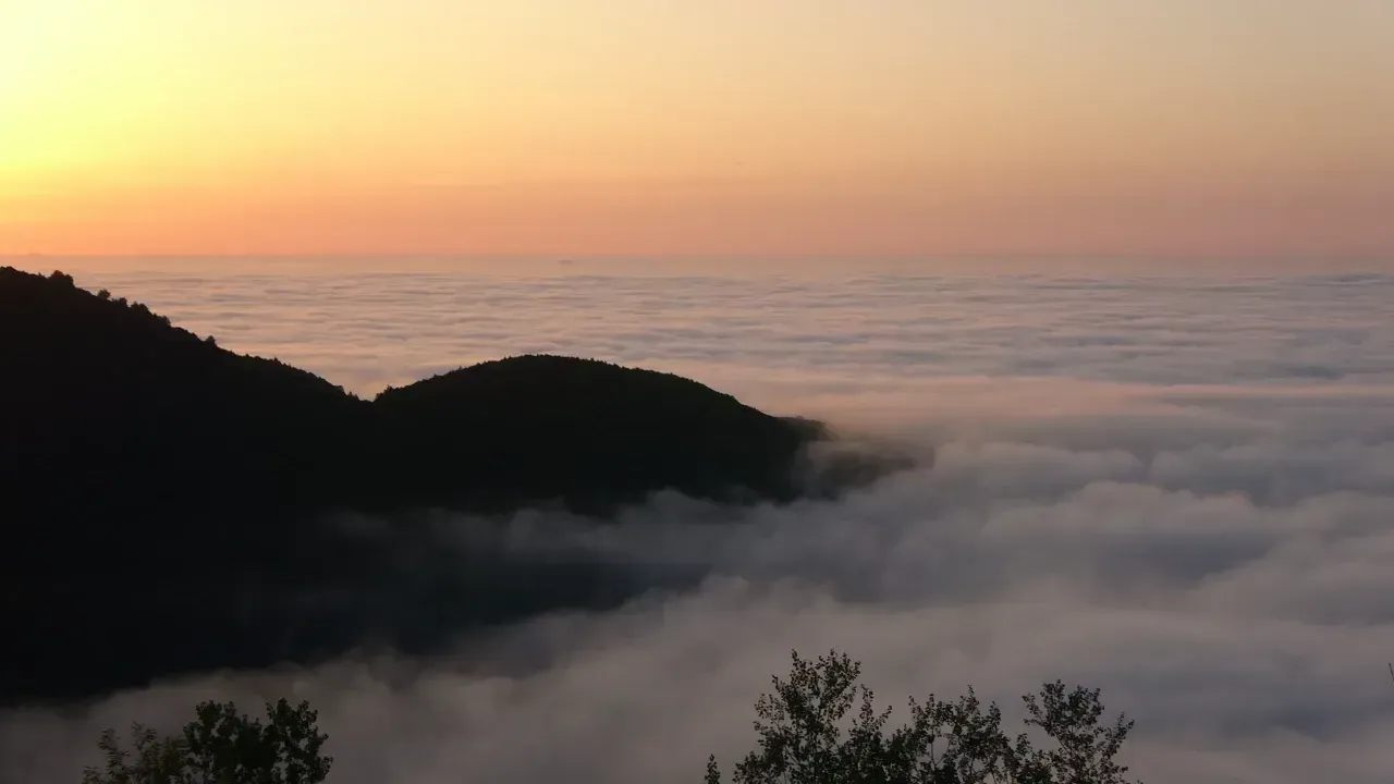 Kuzuyayla Tabiat Parkı