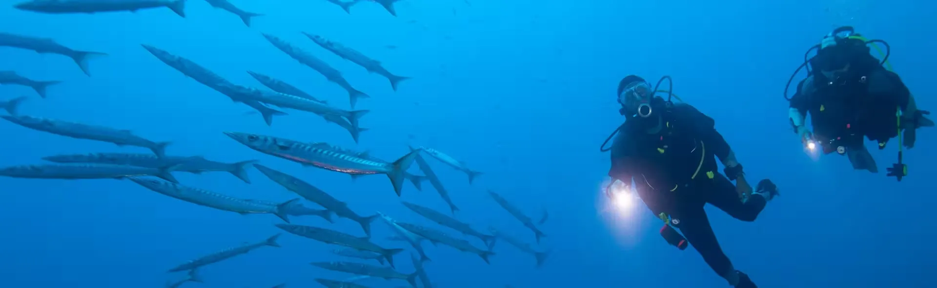 5. Su Sporları ve Aktiviteler