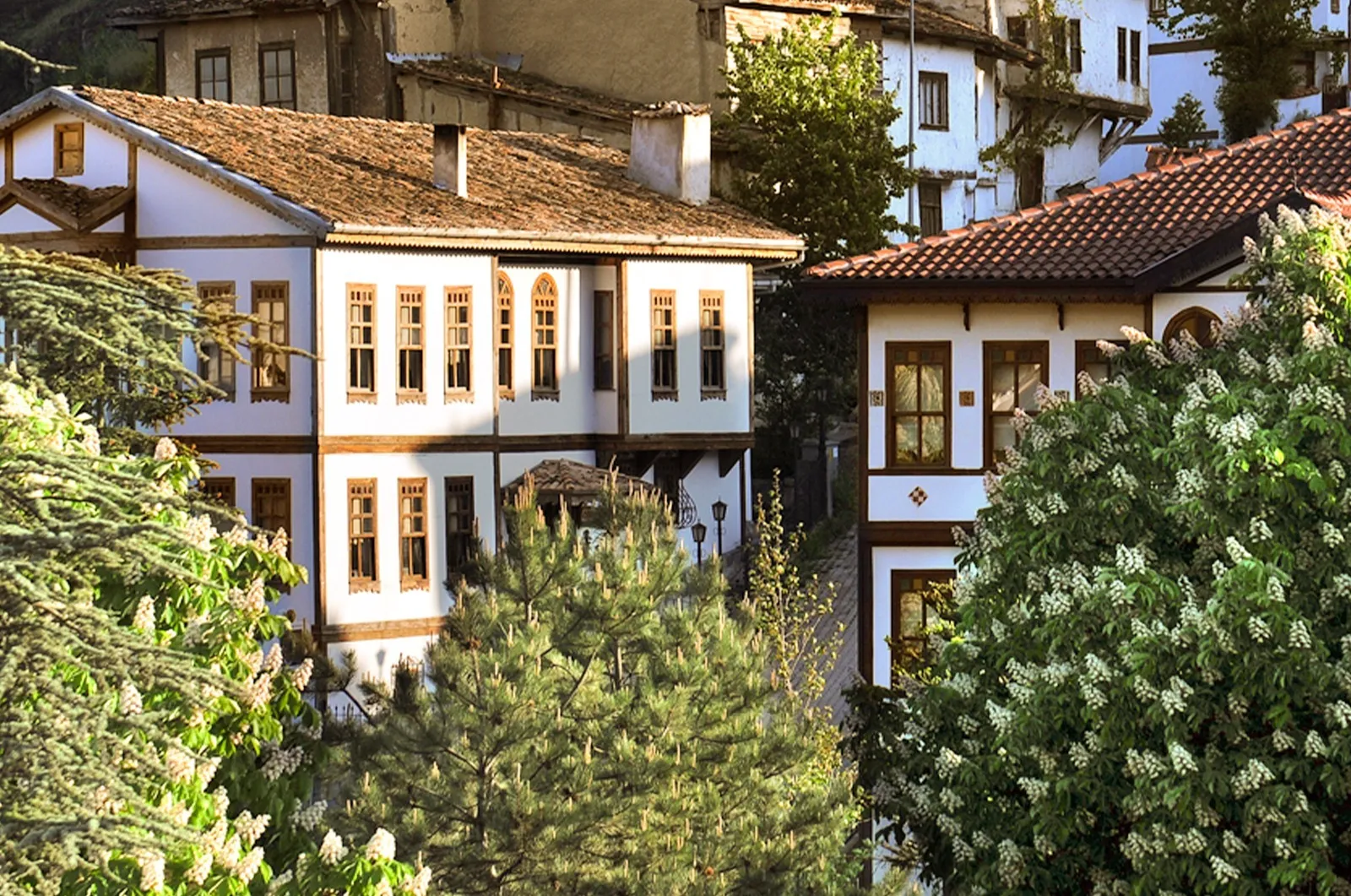 Tarihi Taraklı Evleri