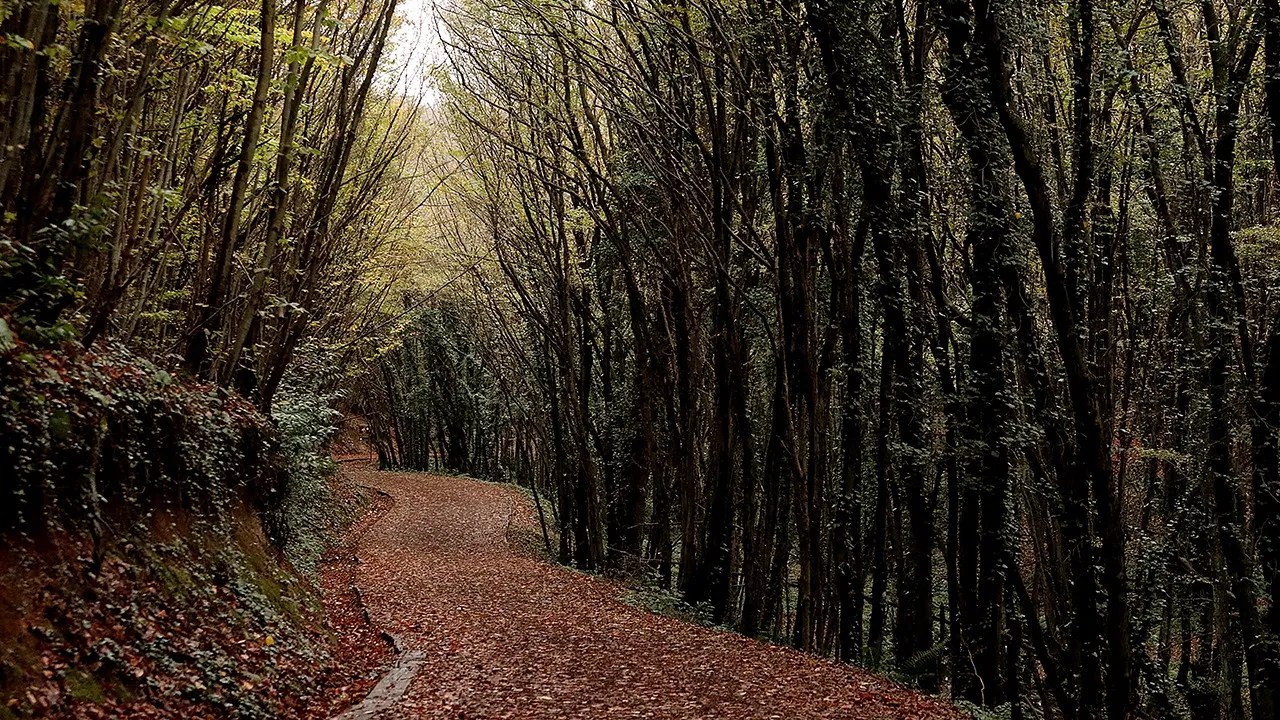 polonezköy tabiat parkı