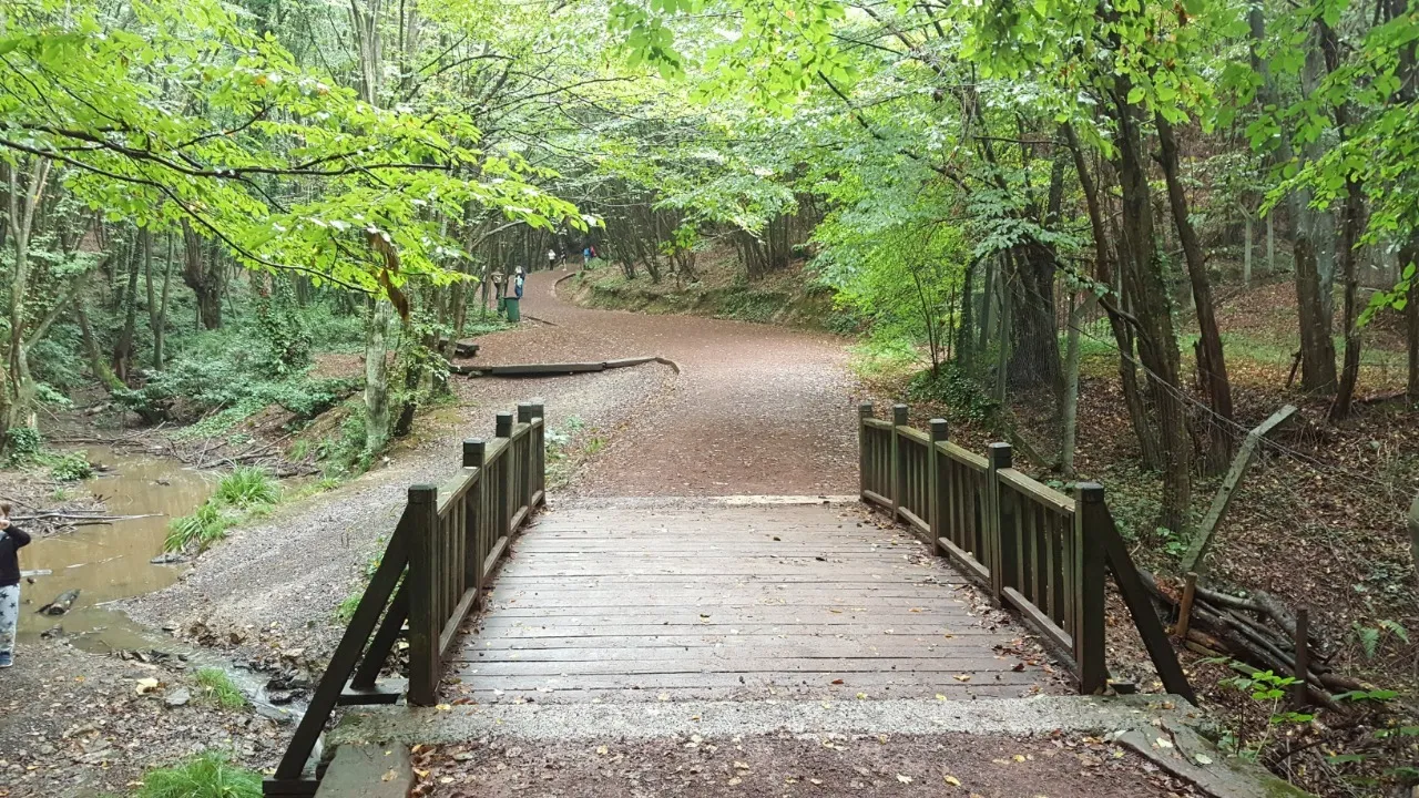 Polonezköy Yürüyüş Parkurları