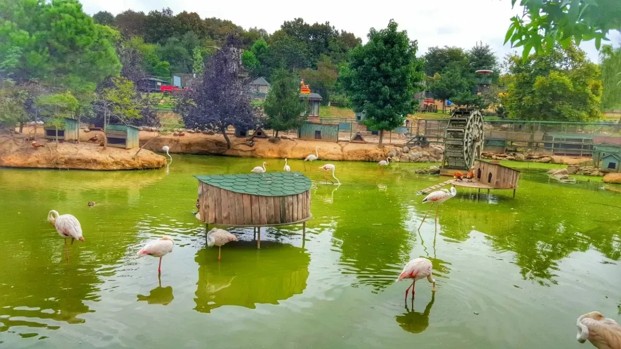 Polonezköy Piknik Alanları