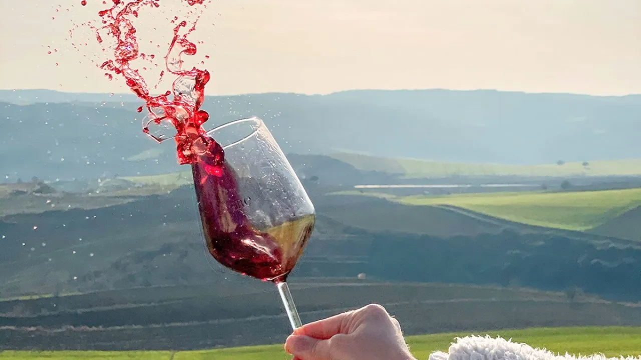 Barbare Şarapçılık