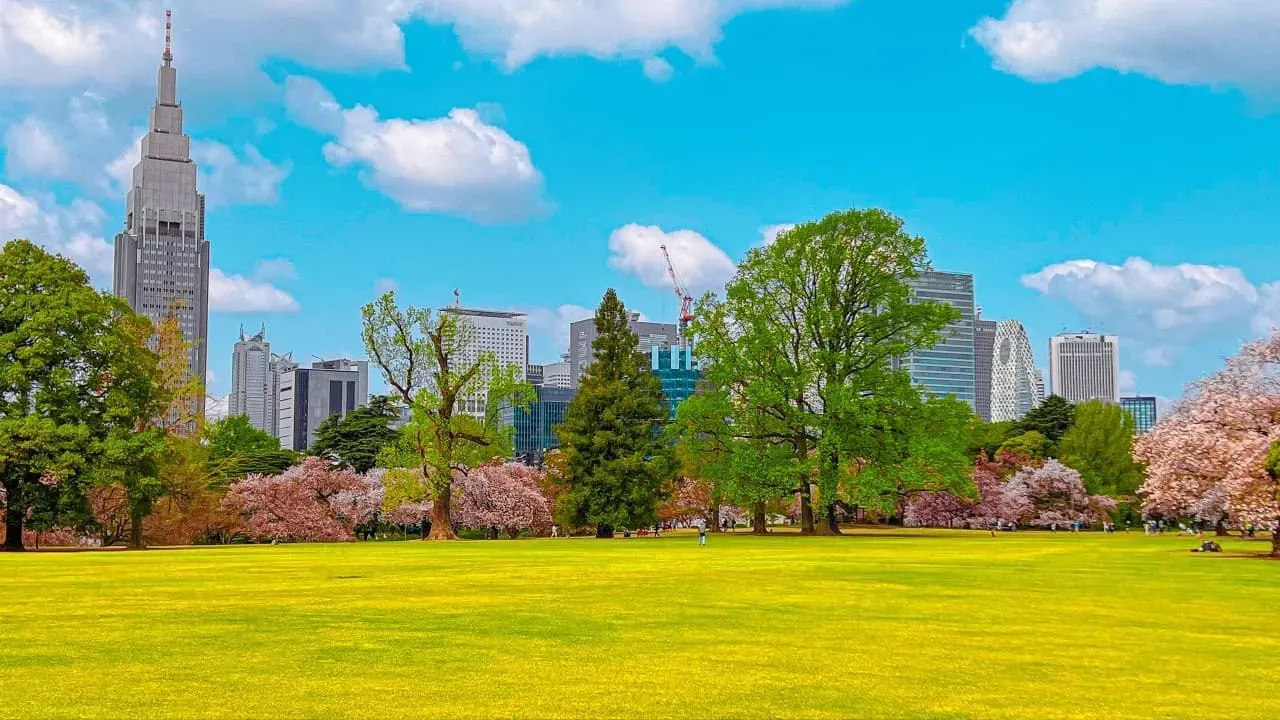 Shinjuku Gyoen Ulusal Bahçesi